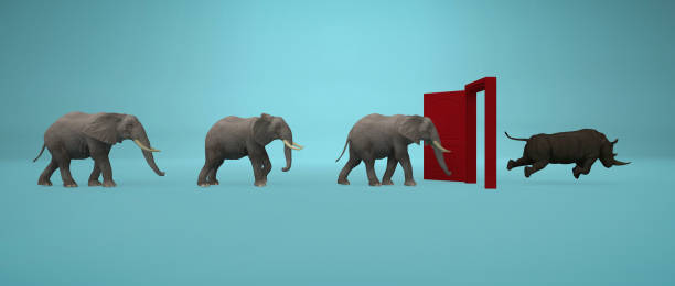 istock Elephants entering a door and gets out as a rhino . Changing mindset and different approach concept . Life changing decision and new opportunities . This is a 3d render illustration . 1282089050