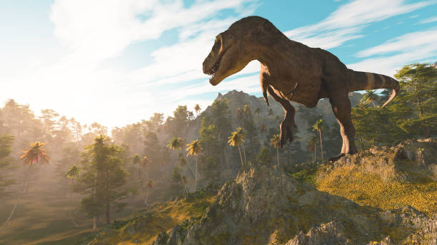 istock T rex in the jungle at sunset . This is a 3d render illustration . 1282089124