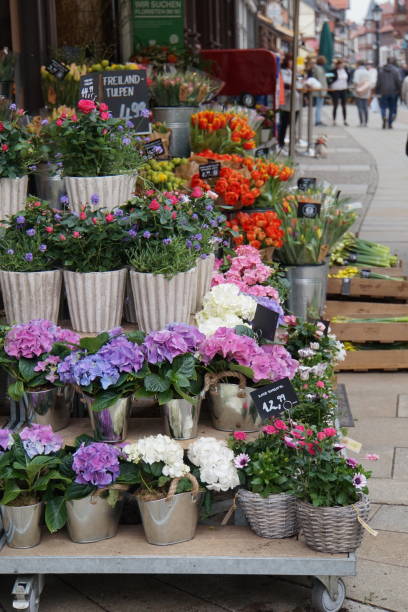 istock Flower shop, florist 1282091818