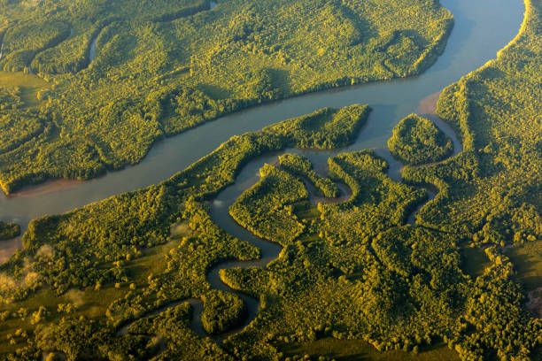 River in tropic Costa Rica, Corcovado NP. Lakes and rivers, view from airplane. Green grass in Central America. Trees with water in rainy season. Photo from air. River in tropic Costa Rica, Corcovado NP. Lakes and rivers, view from airplane. Green grass in Central America. Trees with water in rainy season. Photo from air. botswana photos stock pictures, royalty-free photos & images