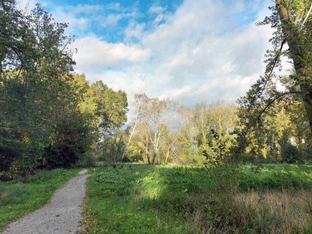 istock White cumulus clouds in sky above park Hitland during autum 1282094587