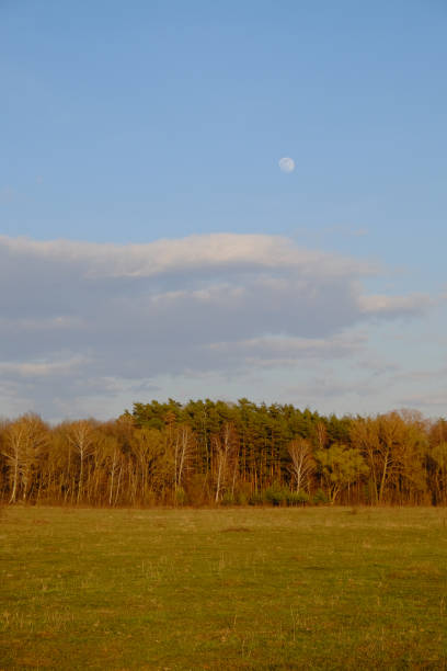 istock Cloudy evening sky over a beautiful autumn forest. Landscape. 1282095967