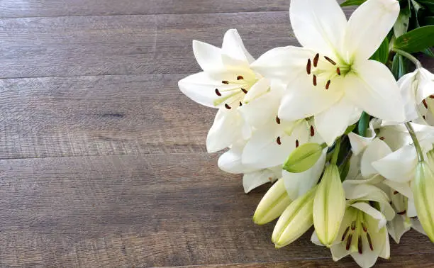 Photo of White Lily flowers on wooden background