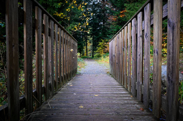istock Wodden bridge in a montain trail 1282097822