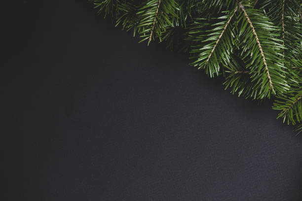 istock Christmas fir tree on black background 1282100060