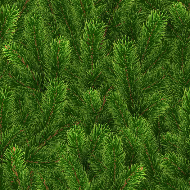 illustrations, cliparts, dessins animés et icônes de motif vert sans couture. branches d’arbre de noël - full frame leaf lush foliage backgrounds