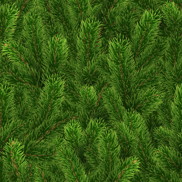 Seamless green pattern. Christmas tree branches Seamless green pattern from Christmas tree branches. Realistic illustration. The branches of the pine are scattered randomly over the background. New Year wallpapers. Vector. EPS10 fir tree pine backgrounds branch stock illustrations