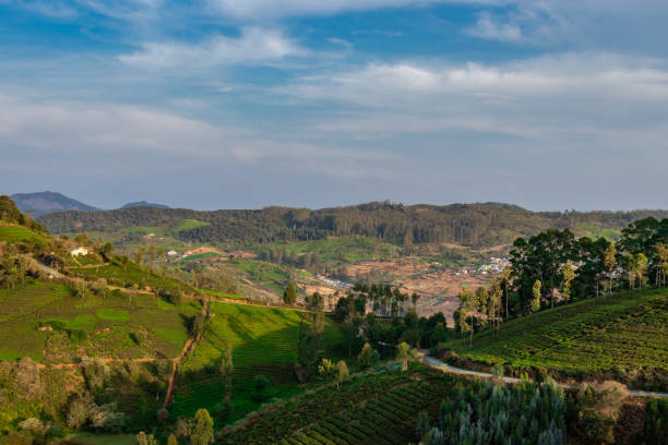 istock Road isolated in hills towards city 1282109517