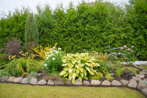 istock Example of landscape design in the garden 1282109837