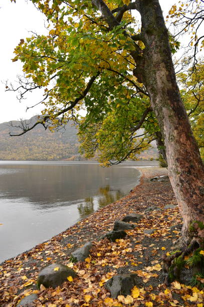 istock Autumn in the English Lake District 1282110788