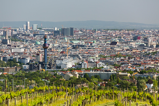View from a hill to the city center of Vienna with the tower of the waste incineration plant Spittelau and several churches in Austria.