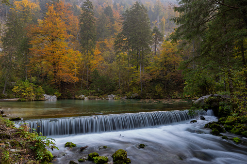 The source of the Kamniska Bistrica River in the fall