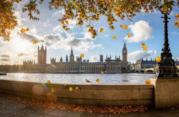 Panoramic view to Westminster Palace and Big Ben tower in London, UK, during golden autumn time Panoramic view to Westminster Palace and Big Ben tower in London, UK, during golden autumn time with sunshine and colorful leafs falling from the trees city of westminster london photos stock pictures, royalty-free photos & images