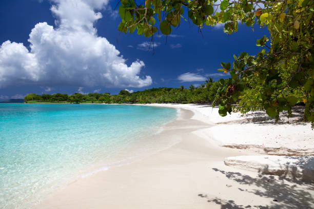piękna tropikalna plaża na karaibach - caneel bay zdjęcia i obrazy z banku zdjęć