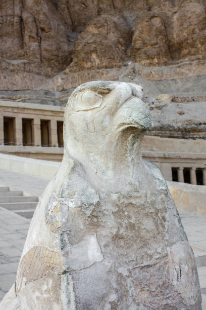 Guard Horus at entrance in Mortuary temple of Hatshepsut, Deir el Bahari Valley Of The Queens, Luxor, Egypt. Guard Horus el bahari stock pictures, royalty-free photos & images