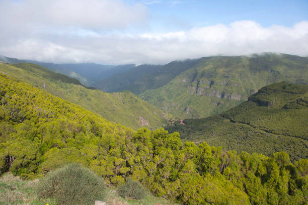 istock Paul da Serra Plateau, Madeira. Portugal 1282115975