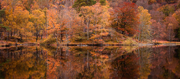 istock Reflection of colourful trees in lake. 1282116270