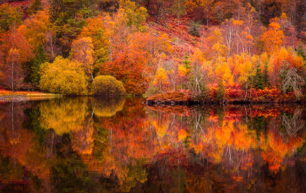 Autumn in Lake District.