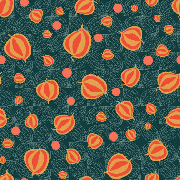 オレンジの物理のシームレスなベクター パターンのティールの背景 - gooseberry fruit berry backgrounds点のイラスト素材／クリッ�プアート素材／マンガ素材／アイコン素材