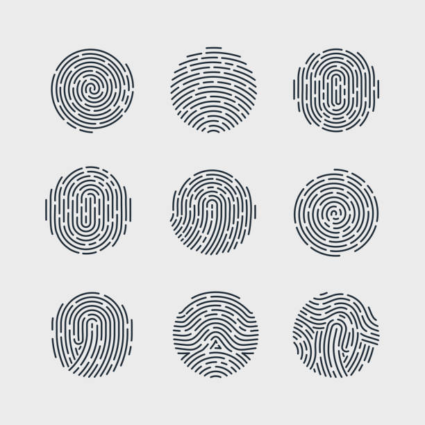 지문 - fingerprint thumbprint biometrics human thumb stock illustrations