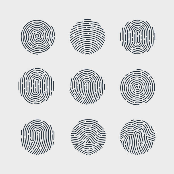 Fingerprint Round Fingerprint Patterns for Identity Person Security ID on Gray Background for Design fingerprint stock illustrations