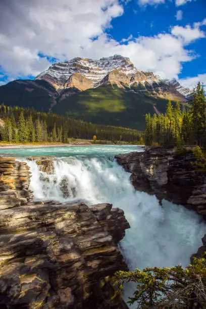 Photo of Athabasca Falls. Rocky Mountains