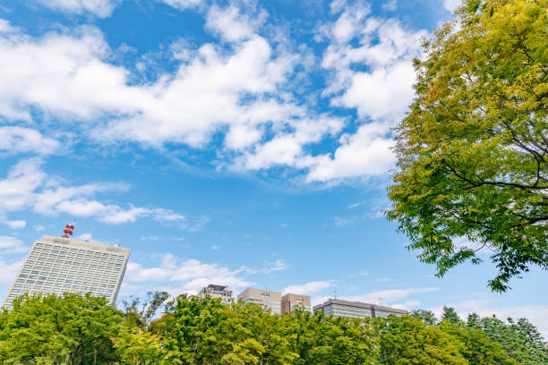 istock Fresh green trees and buildings in Tokyo 1282117541