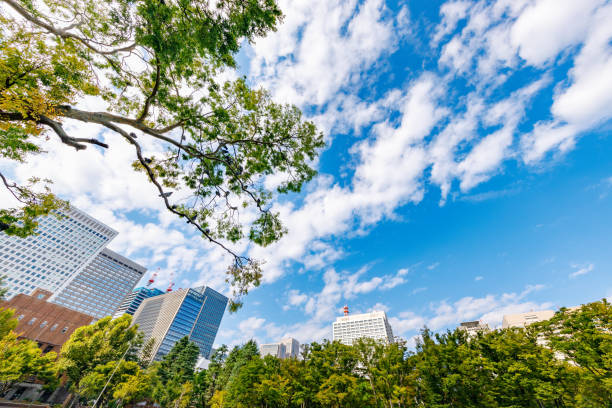istock Fresh green trees and buildings in Tokyo 1282117620