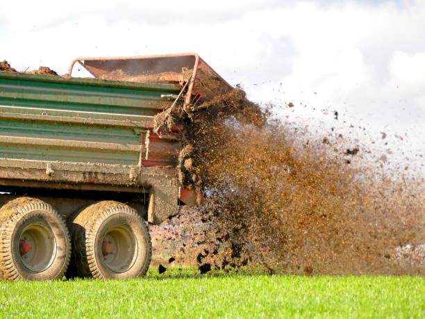 istock tractor throwing cow manure on a meadow in autumn in Germany 1282118886