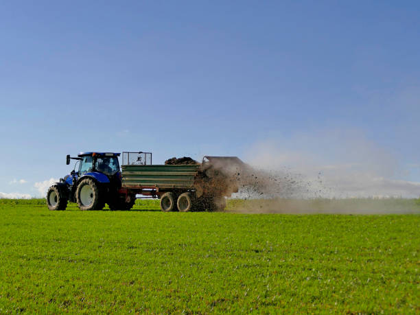 istock tractor throwing cow manure on a meadow in autumn in Germany 1282118900