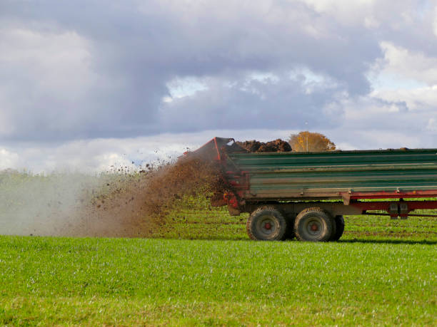 istock tractor throwing cow manure on a meadow in autumn in Germany 1282118912