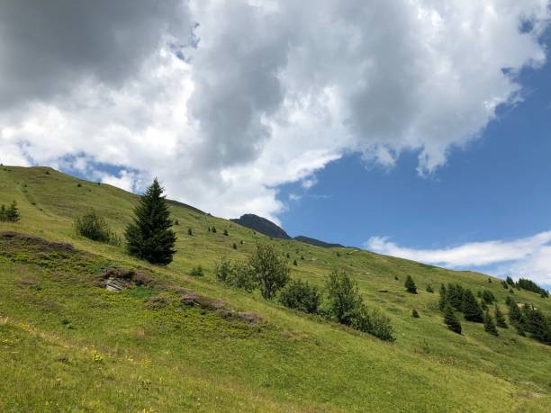 istock Vals in Switzerland 31.7.2020 1282121670