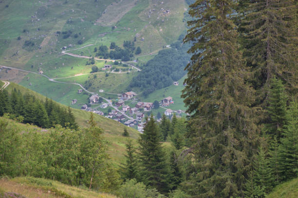 istock Vals in Switzerland 31.7.2020 1282121756