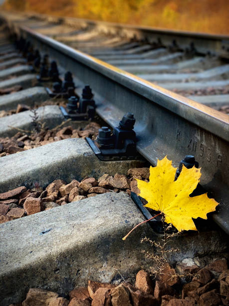 istock Single rail as part of a railway. Autumn yellow maple leaf on the rails. 1282123251