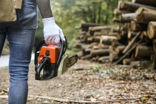140+ Man Carrying Chainsaw Stock Photos, Pictures & Royalty-Free Images ...