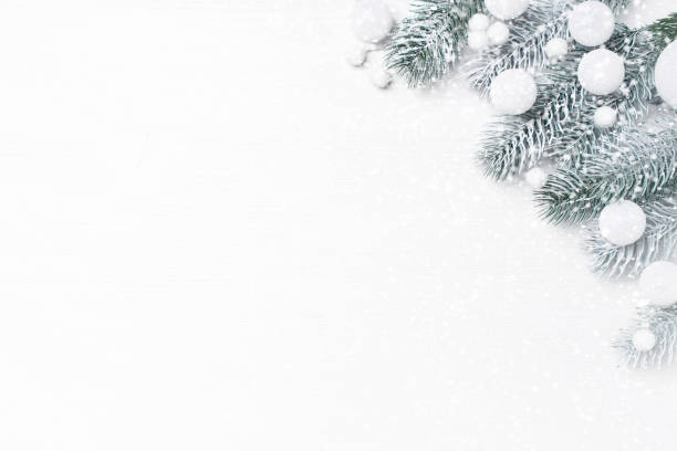 istock White festive Christmas background with christmas tree branches 1282124999