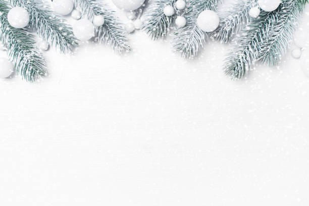 istock White festive Christmas background with christmas tree branche 1282125003