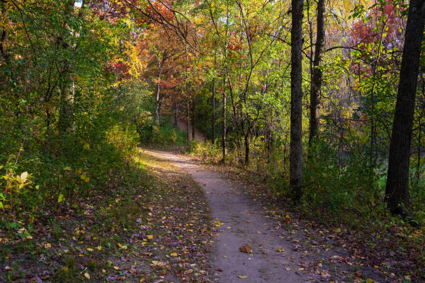 istock autumn scenery at regional park 1282133720