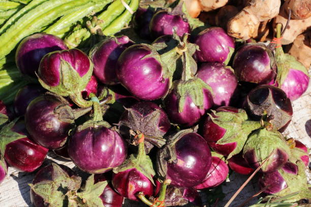 Small round eggplants sold in an Asian food street market stock photo