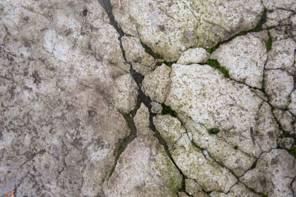 istock Cracked concrete with moss in the cracks. 1282134180