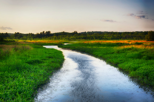 the bantam river running through the white memorial conservation area wetland in litchfield connecticut at sunset.