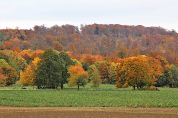 istock autumn in the mountains 1282138104