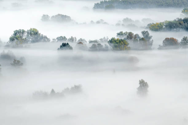 istock Foggy morning in the autumn forest 1282138303