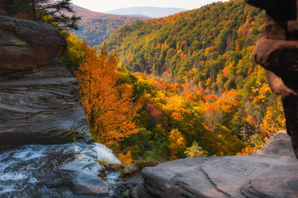 Water streaming off a rocky ledge leading into a valley valley fill with vibrant fall foliage color. Kaaterskill Falls - Woodstock, NY