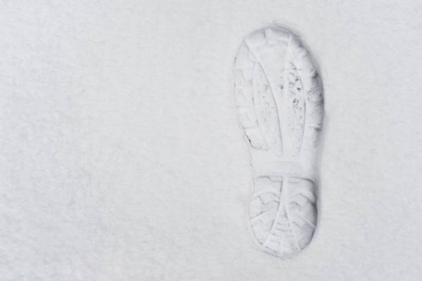 istock Footprint in fresh snow 1282142057