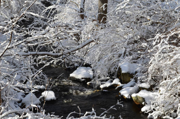 istock Freshly Fallen Snow in Massachusetts. 1282142464