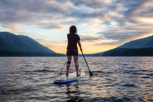 Woman Paddleboarding on Scenic Lake at Sunset Woman Paddleboarding on Scenic Lake at Sunset in Canadian Nature. Taken in Golden Ears Provincial Park, British Colmbia, Canada. alouette lake stock pictures, royalty-free photos & images