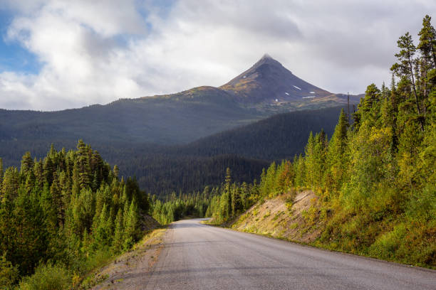 istock View of Scenic Road surrounded by Trees and Mountains 1282144041