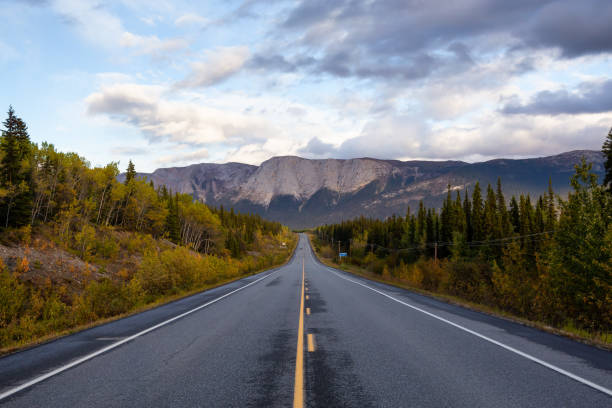 istock View of Scenic Road surrounded by Trees and Mountains 1282144127