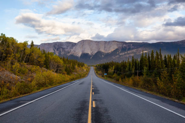 istock View of Scenic Road surrounded by Trees and Mountains 1282144150